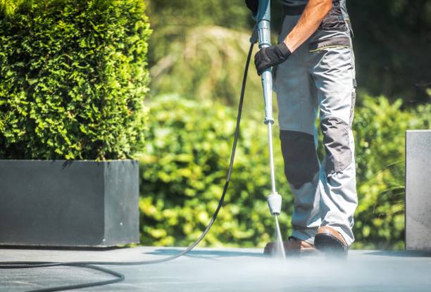 Best Gutter Cleaning and Brightening in Snow Hill, NC